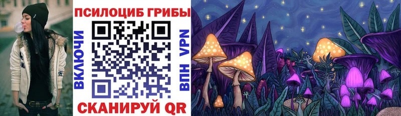 купить  цена  Клин  Галлюциногенные грибы GOLDEN TEACHER 